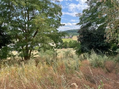 Bassenheim Grundstücke, Bassenheim Grundstück kaufen