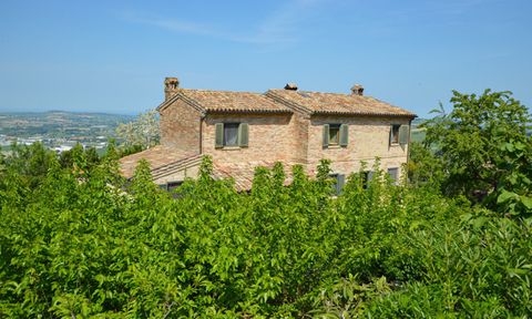 Montelupone Häuser, Montelupone Haus kaufen