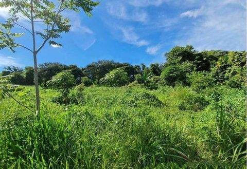 Novo Aripuana Häuser, Novo Aripuana Haus kaufen