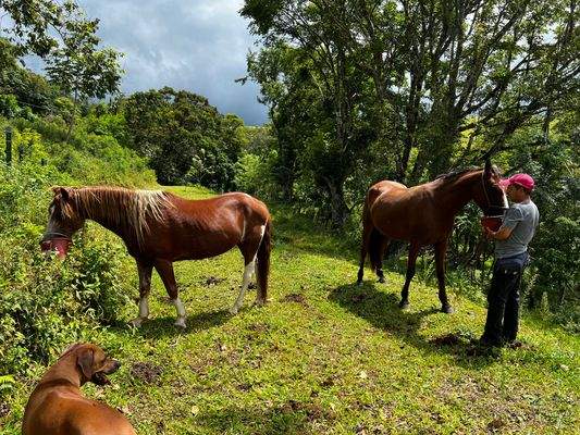 2023-09-11 13.14.51.jpg