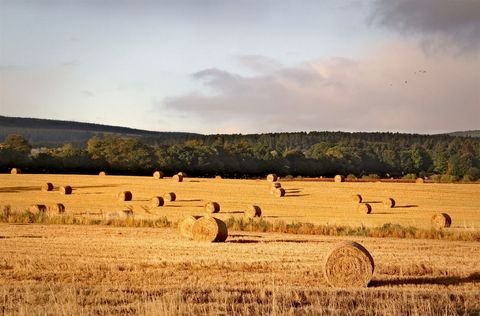 Espelkamp Bauernhöfe, Landwirtschaft, Espelkamp Forstwirtschaft