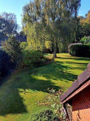 Der wunderschöne Garten