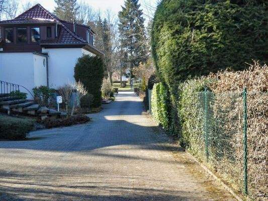 Blick Richtung Straße