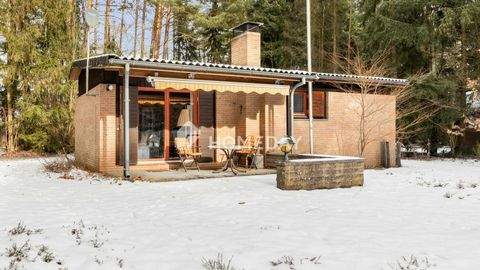 Sassenburg Häuser, Sassenburg Haus kaufen