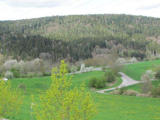 Blick von der Terrasse