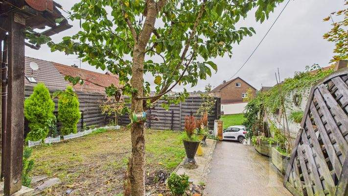 Garten / Eingangsbereich