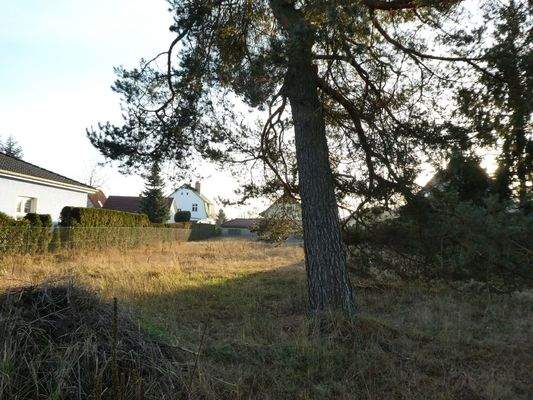 Weitere Grundstücksansicht