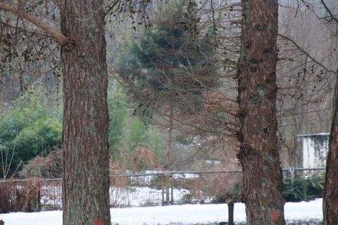 Bad Schwartau Wohnungen, Bad Schwartau Wohnung kaufen