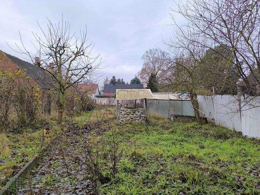 Garten - hinterer Teil