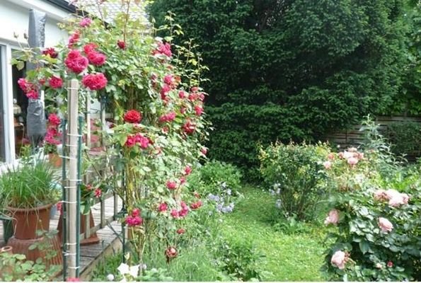 Top_3_Garten1