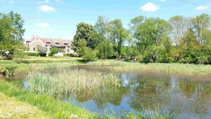 20220517_034850 - Internet.jpg