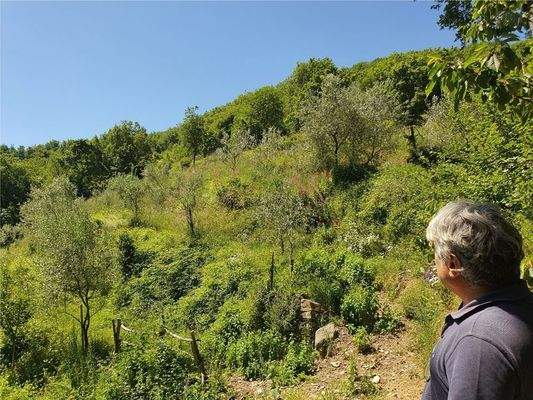 Olivenhain (7)
