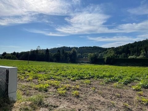 Laßnitzthal Grundstücke, Laßnitzthal Grundstück kaufen