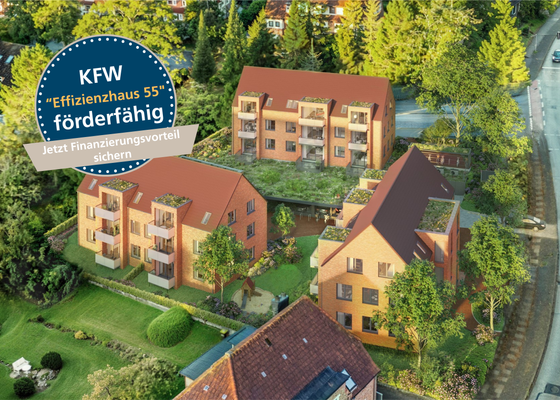 _Effizienzhaus 55 Störer (1)