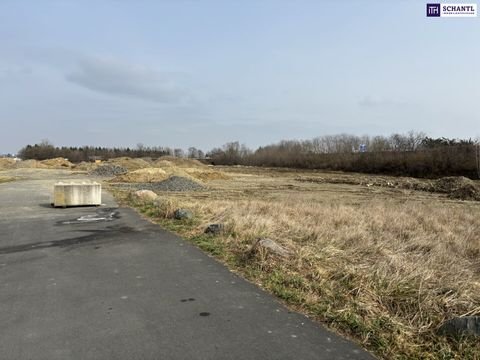 Vogau Industrieflächen, Lagerflächen, Produktionshalle, Serviceflächen