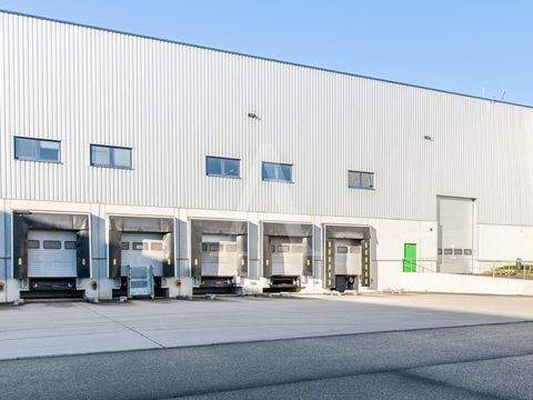 Frechen Halle, Frechen Hallenfläche