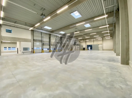 INFOS UNTER: 06171-586000