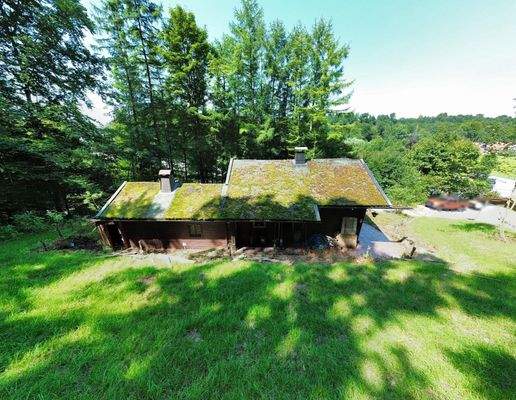 Zentral und doch im Grünen