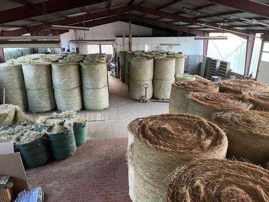 WhatsApp Image 2025-12-16 at 11.01.04-11.jpeg