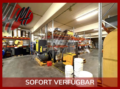 Flörsheim Halle, Flörsheim Hallenfläche