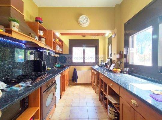 img_264a2e43-f789-4a61-8cc6-153a9c4e31e5