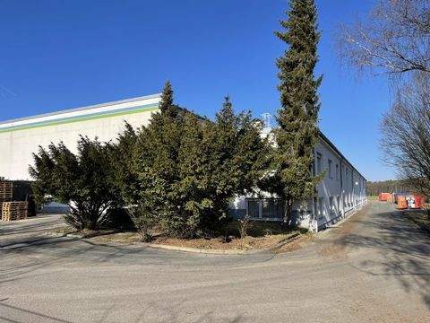 Stein Halle, Stein Hallenfläche