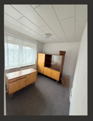 Nutzraum vorderes Haus.png