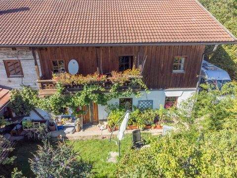 Schönberg Häuser, Schönberg Haus kaufen