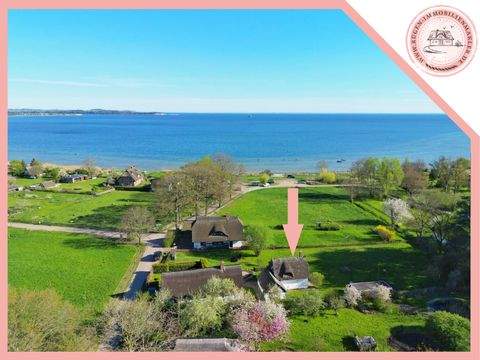 Putbus Häuser, Putbus Haus kaufen