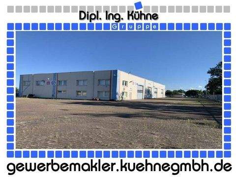 Zerbst/Anhalt Halle, Zerbst/Anhalt Hallenfläche