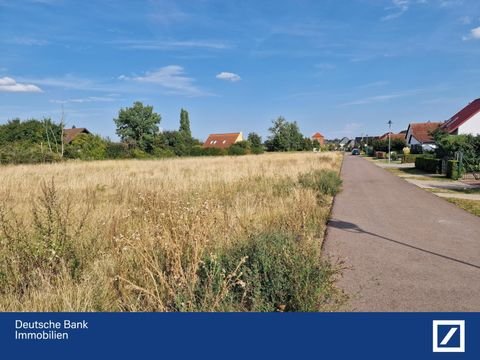 Osternienburger Land Grundstücke, Osternienburger Land Grundstück kaufen