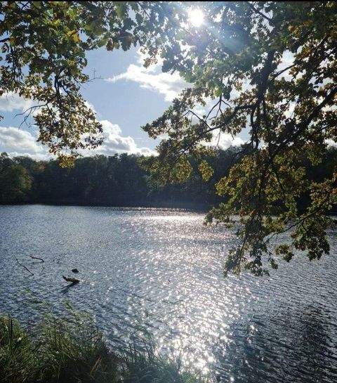 Berlin Wohnungen, Berlin Wohnung kaufen