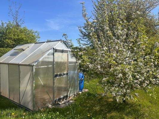 Gewächshaus