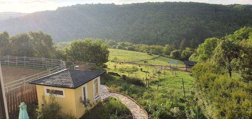 Ausblick 1. OG auf Hausweide