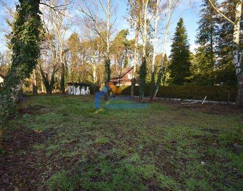 Blankenfelde Grundstücke, Blankenfelde Grundstück kaufen