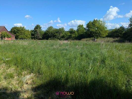 Blick über das Grundstück