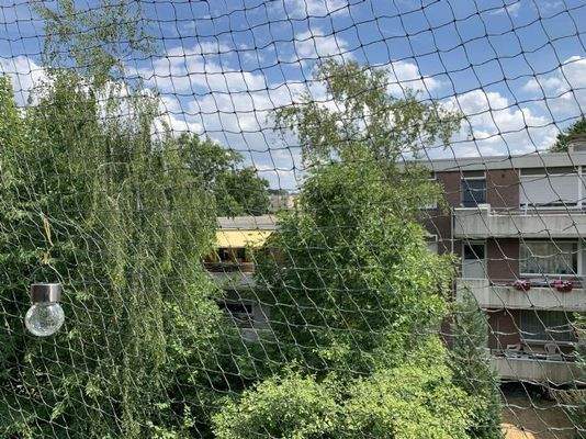 Balkon mit Katzennetz