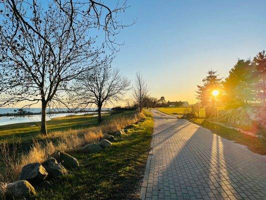 Weg zum Reddevitzer Hövt.jpeg