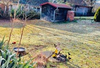 Garten mit Schuppen