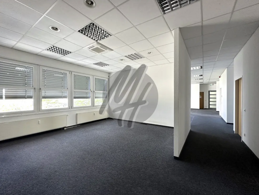 INFOS UNTER: 06171-586000