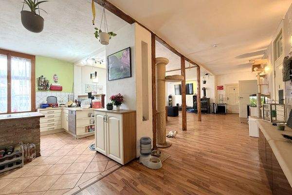 großer Wohn- und Essbereich mit offener Küche