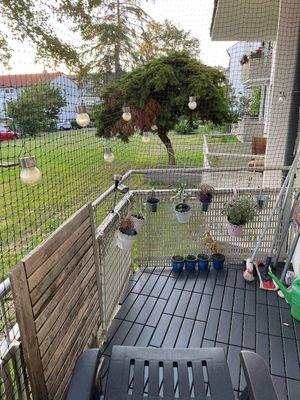 Garten Amsterdamer Str.jpeg