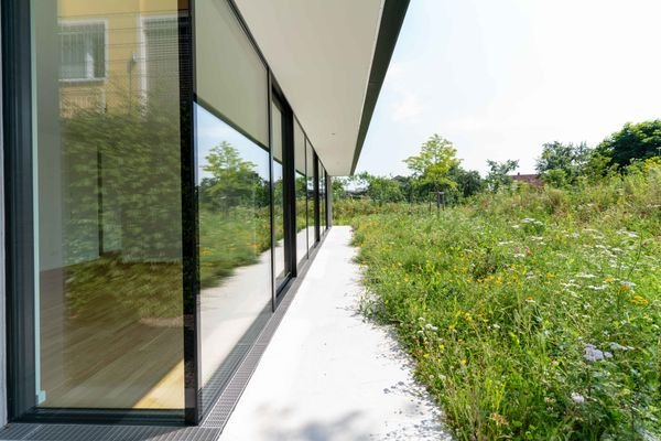 Blick in den Garten