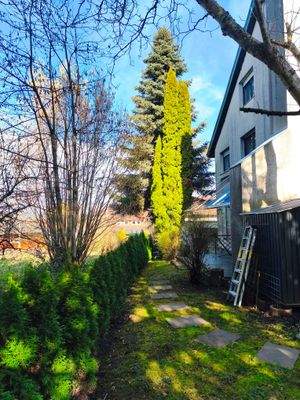 Rückseite Grundstück