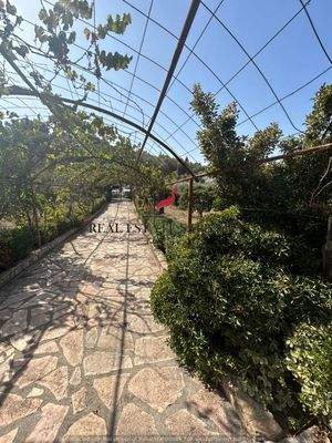 WhatsApp Image 2024-09-06 at 10.30.41 (1).jpeg