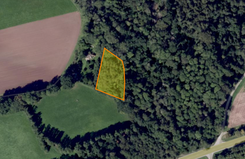 Feuchtwangen Bauernhöfe, Landwirtschaft, Feuchtwangen Forstwirtschaft