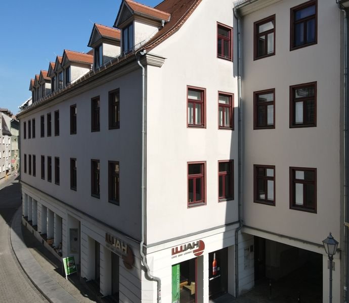 1 Zimmer Wohnung in Halle (Altstadt)