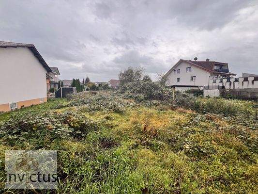 Bild vom Grundstück, inkl. Bewuchs