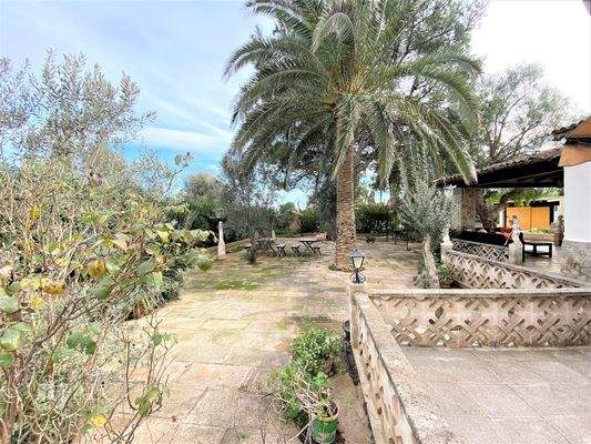 Seitlicher Hof - Patio lateral