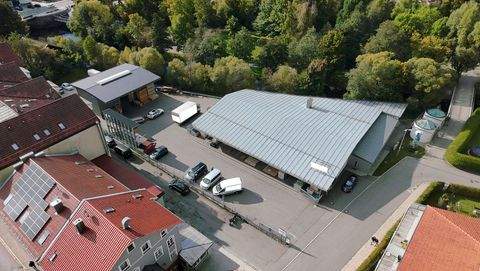 Regen Halle, Regen Hallenfläche